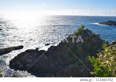晴天の爪木崎の俵磯　静岡 111860742