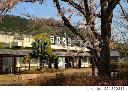 マキノ駅と桜 111860811