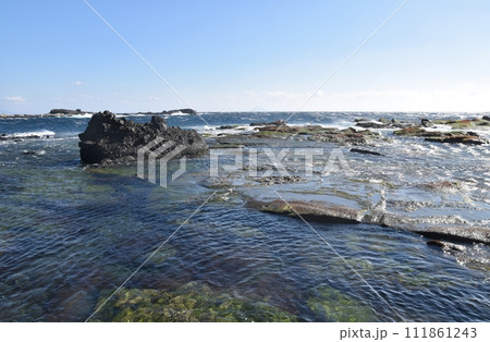 恵比須島の千畳敷　静岡 111861243