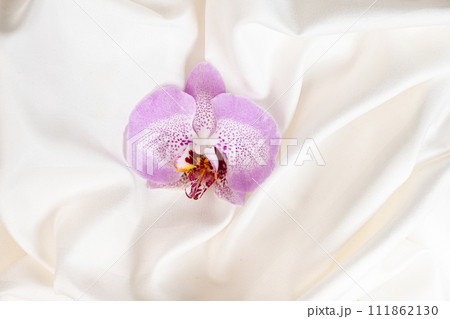 Lovely orchid flower on beige satin bedding. 111862130