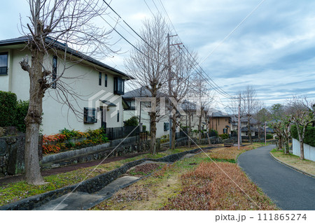 一雨ごとに春が近づく奈良市の街で　明るい日差しを待ちわびるプラタナスの並木① 111865274