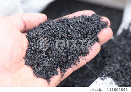 籾殻燻炭 111865848