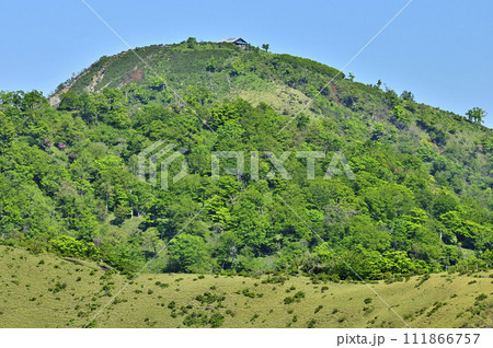 丹沢山地の丹沢山より新緑の丹沢主脈　蛭ヶ岳と鬼ヶ岩ノ頭と箒杉沢ノ頭 111866757