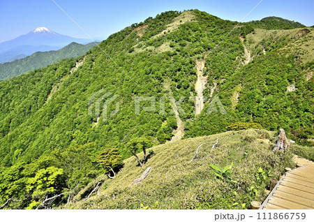 丹沢山地の丹沢山より　初夏の頃　富士山と丹沢主脈の山々を望む 111866759