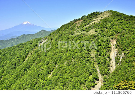 丹沢山地の丹沢山より　初夏の頃　富士山と丹沢主脈の山々を望む 111866760