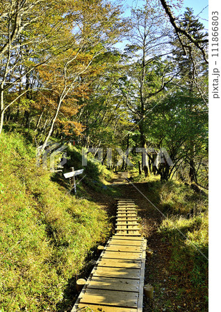 丹沢の道 丹沢主脈 八丁坂ノ頭の分岐 丹沢の道 丹沢主脈 八丁坂ノ頭の分岐 111866803
