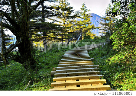 丹沢の姫次 丹沢主脈の木道 丹沢の姫次 丹沢主脈の木道 111866805