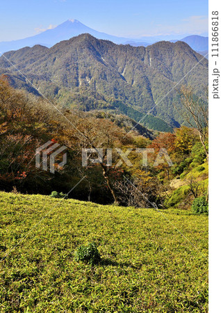 紅葉の丹沢山地　蛭ヶ岳より望む富士山と秋色の西丹沢 111866818