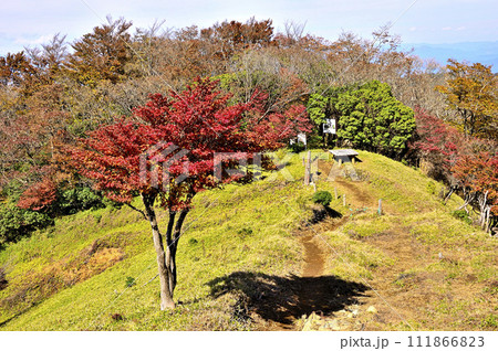秋の丹沢山地　丹沢主脈　紅葉の小御岳山頂 111866823