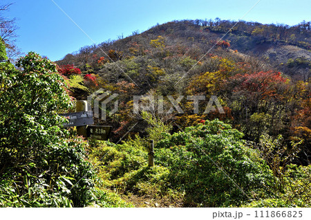 秋の丹沢山地 紅葉の蛭ヶ岳 秋の丹沢山地 紅葉の蛭ヶ岳 111866825