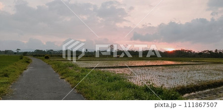 Rice farming on the edge of the mountain and beautiful roads with beautiful clouds in the afternoon and evening 111867507