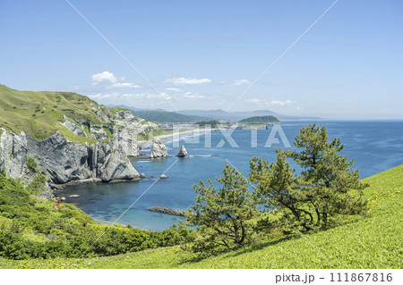 クロマツとトッカリショ 室蘭市 クロマツとトッカリショ 室蘭市 111867816