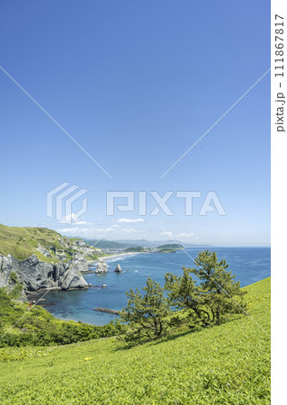 クロマツとトッカリショ　室蘭市 111867817