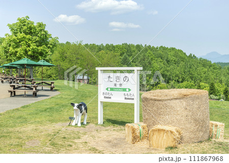 記念写真ポイント　滝野すずらん丘陵公園　札幌市 111867968