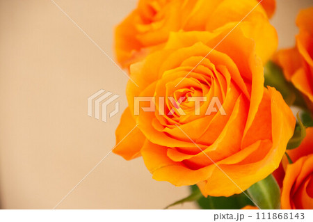 オレンジ色のバラ 111868143