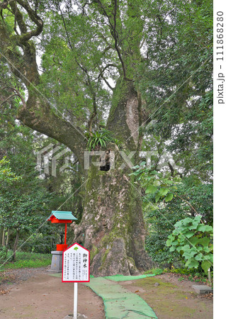 【大汝牟遅神社】 鹿児島県日置市吹上町中原 111868280