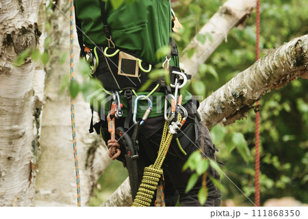 Man climber on a tree to trim branches 111868350