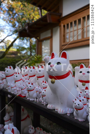 豪徳寺(ごうとくじ)は、日本の東京にある寺院。招き猫発祥の地とされる。 豪徳寺(ごうとくじ)は、日本の東京にある寺院。招き猫発祥の地とされる。 111868424