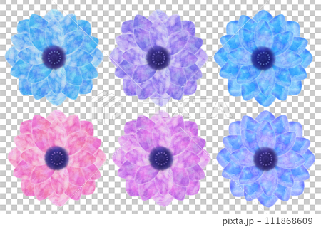 アネモネ 111868609