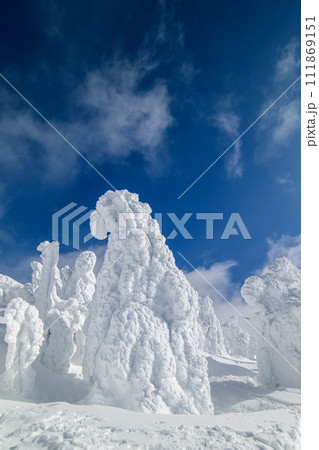 冬の森吉山 樹氷平の絶景 秋田県 冬の森吉山 樹氷平の絶景 秋田県 111869151