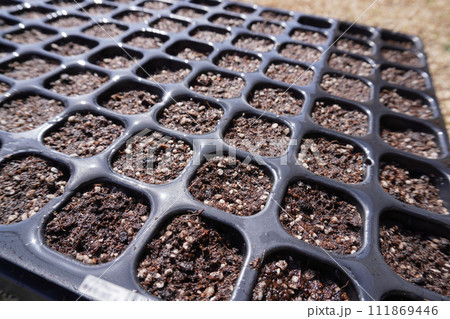 プラグトレイ128穴07 111869446