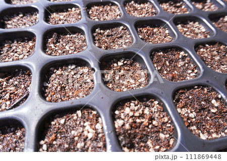 プラグトレイ128穴09 111869448