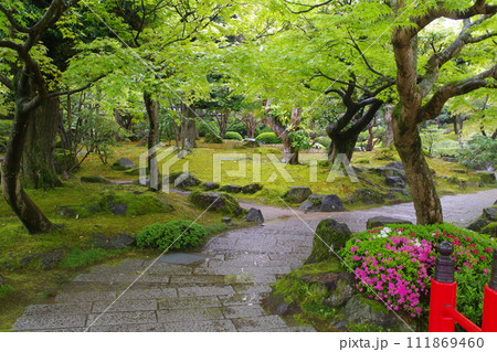 雨降る牡丹庭園の景色 111869460