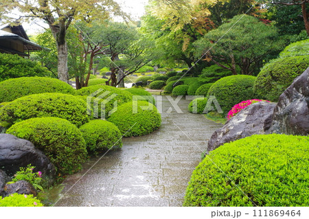 雨降る牡丹庭園の景色 雨降る牡丹庭園の景色 111869464