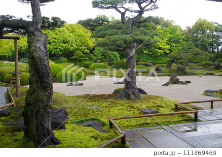 雨降る牡丹庭園の景色 雨降る牡丹庭園の景色 111869469