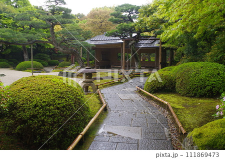 雨降る牡丹庭園の景色 雨降る牡丹庭園の景色 111869473