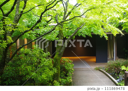 雨降る牡丹庭園の景色 111869478