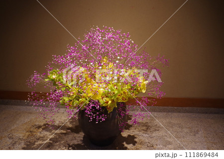 牡丹庭園に飾られた花の景色 牡丹庭園に飾られた花の景色 111869484