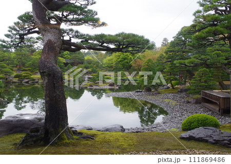雨降る牡丹庭園の景色 雨降る牡丹庭園の景色 111869486