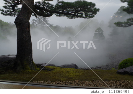雨降る牡丹庭園の景色 雨降る牡丹庭園の景色 111869492