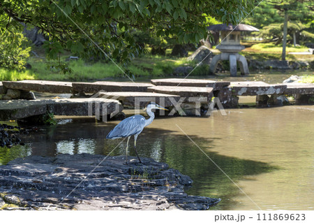 金沢を代表する観光地・兼六園 金沢を代表する観光地・兼六園 111869623