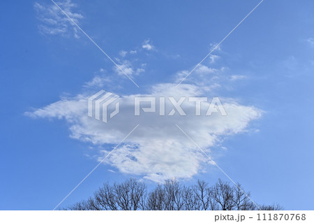 多摩地方の空と雲 多摩地方の空と雲 111870768