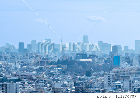 北とぴあより望む風景 111870787