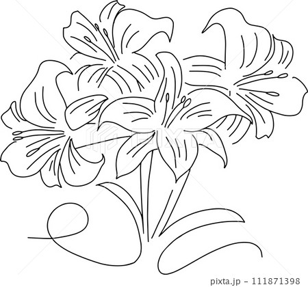 線画の百合の花のイラスト挿絵デザイン 線画の百合の花のイラスト挿絵デザイン 111871398