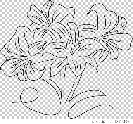 線画の百合の花のイラスト挿絵デザイン 線画の百合の花のイラスト挿絵デザイン 111871398
