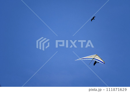 青空とハンググライダー 青空とハンググライダー 111871629
