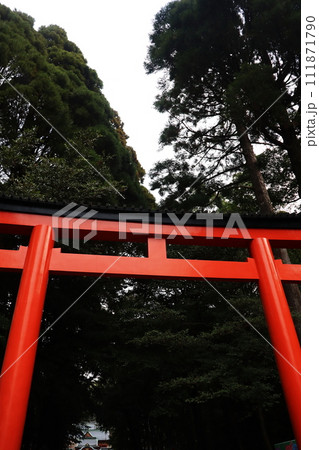 霧島神宮鳥居 霧島神宮鳥居 111871790