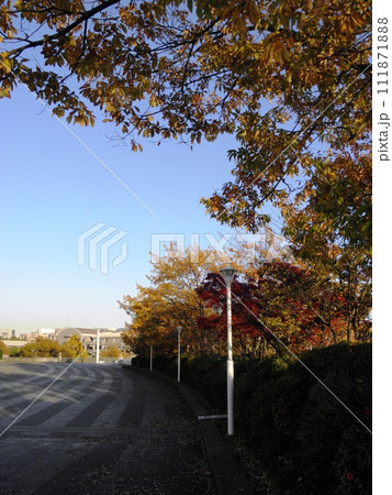 新横浜散歩 111871888