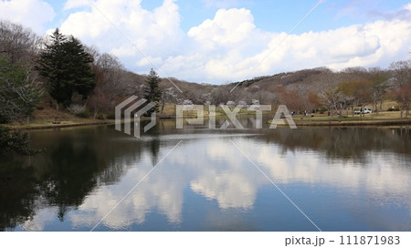 水面に映る青空と桜 笠間市北山公園 水面に映る青空と桜 笠間市北山公園 111871983