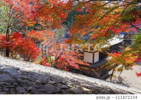 秋の京都高雄 神護寺 紅葉に包まれた五大堂・毘沙門堂 秋の京都高雄 神護寺 紅葉に包まれた五大堂・毘沙門堂 111872234
