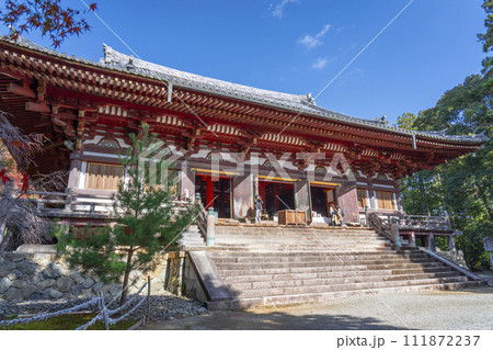 秋の京都高雄　神護寺　紅葉に包まれた金堂 111872237