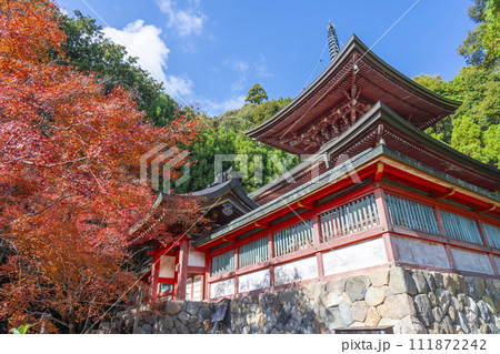 秋の京都高雄 神護寺 紅葉に包まれた多宝塔 秋の京都高雄 神護寺 紅葉に包まれた多宝塔 111872242