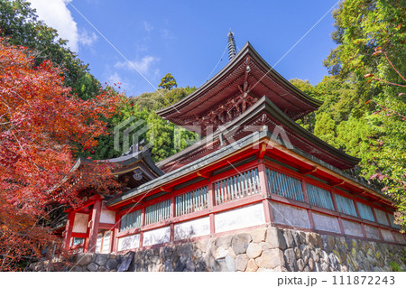 秋の京都高雄　神護寺　紅葉に包まれた多宝塔 111872243