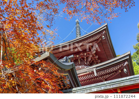 秋の京都高雄　神護寺　紅葉に包まれた多宝塔 111872244
