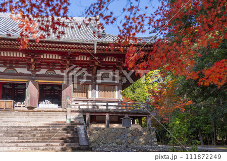 秋の京都高雄　神護寺　紅葉に包まれた金堂 111872249