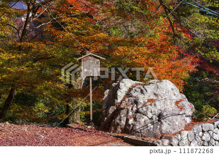 秋の京都高雄　神護寺　紅葉に包まれた硯石 111872268